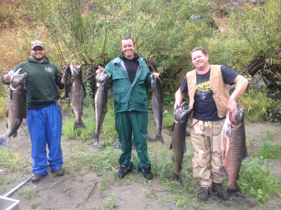 1374449_683815291645767_2034016138_n